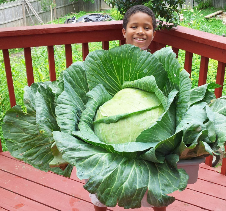 TEACHING KIDS GARDENING